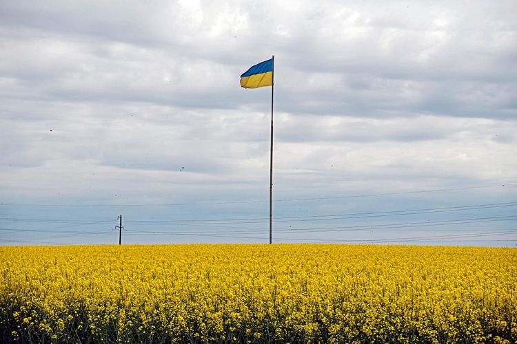 Ukraine Flagge Rapsfeld