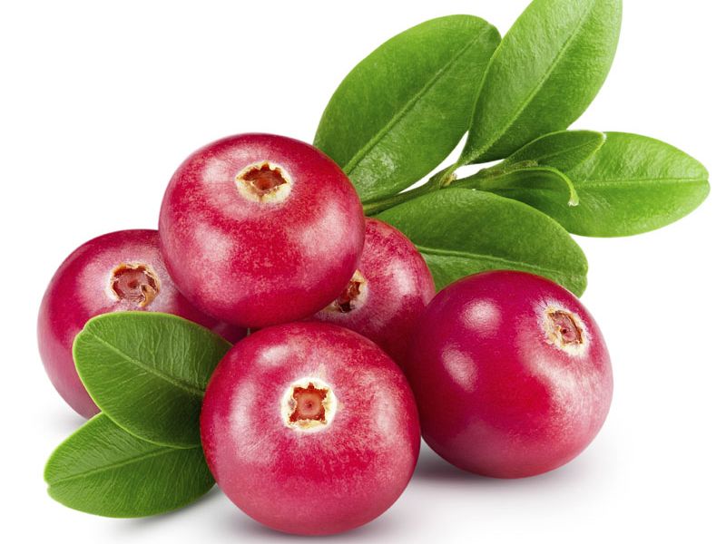 Cranberry Escorts