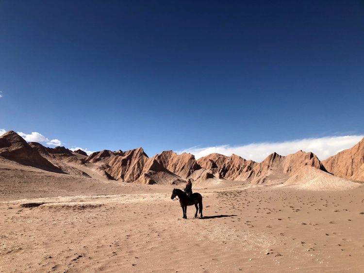 Auf den Pferd durch Chiles Norden © Liou