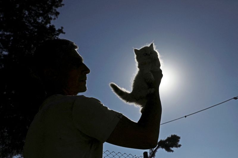 Wetter am Wochenende: Wärme und Sonnenschein in Tirol und Vorarlberg