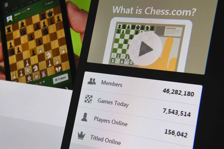 Spielen im Netz - Die Lust am Online-Schach