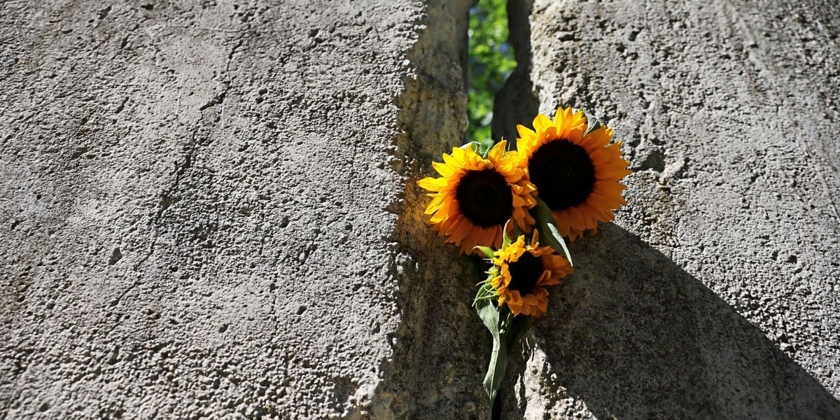 Nachhaltig investieren im Wandel: Warum Anleger nachhaltige Fonds aktuell meiden – und was das wirklich bedeutet