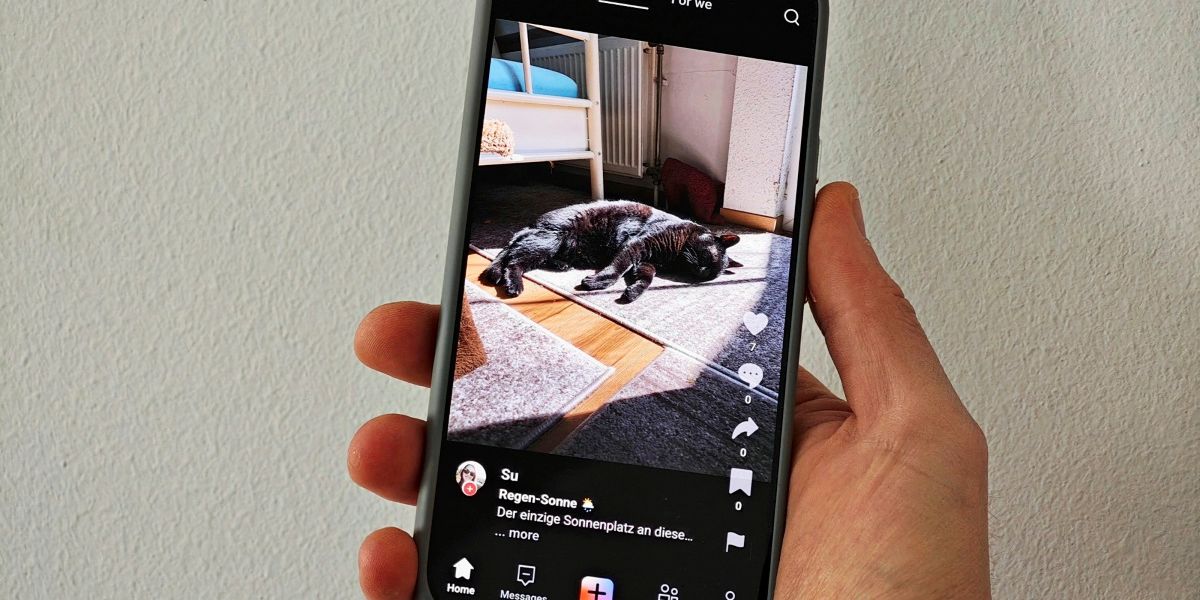 Wedium: Ein Blick auf das "europäische Tiktok"