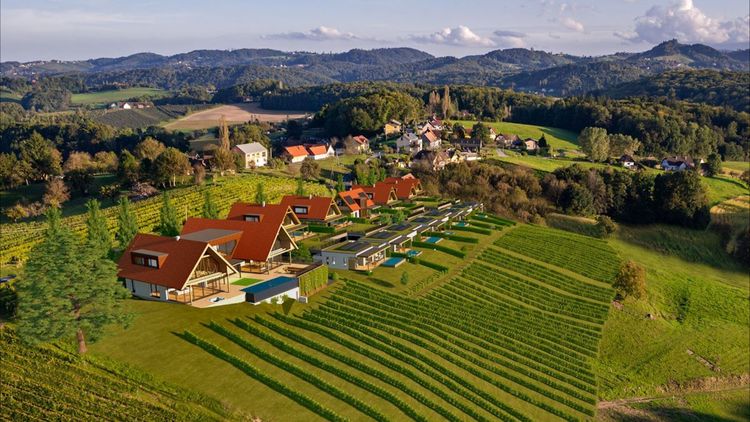 Rendering des Projektes Grubtal in Gamlitz. Laut Plänen sollen hier exklusive Winzer- und Weingartenhäuser mit eigenem Weingarten entstehen.