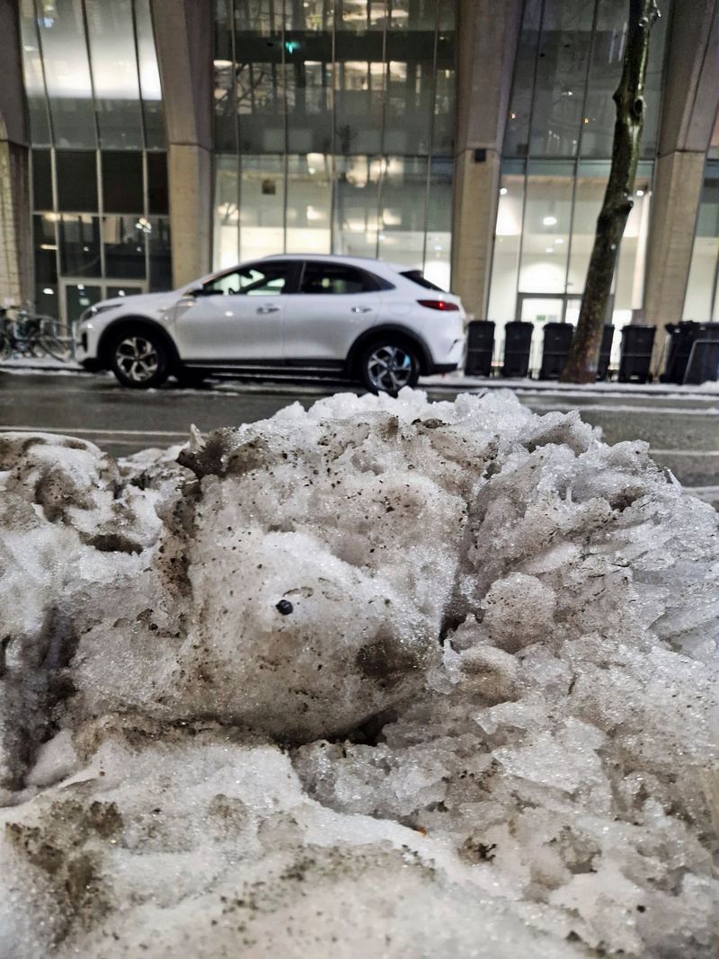 Wäre der Schnee in Wien ohne Verbrennerautos weißer?