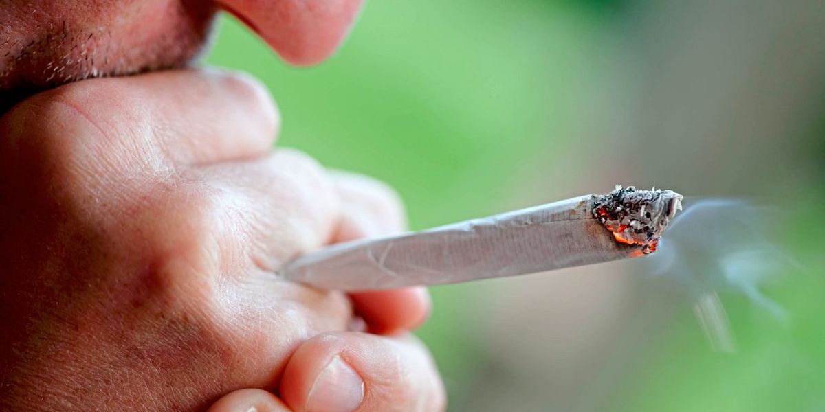 Cannabis kann erneut Schizophrenie auslösen Psyche derStandard.at