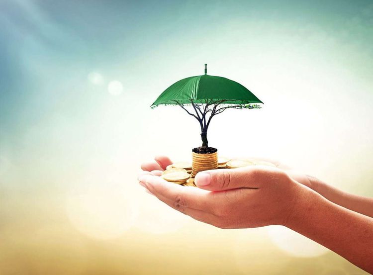 Menschliche Hände halten einen Stapel aus Goldmünzen, aus dem ein Baum mit grünem Schirm als Blätterdach wächst
