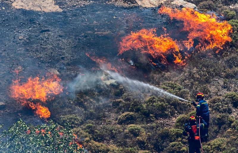 Bericht: Extreme Waldbrände werden in Europa häufiger