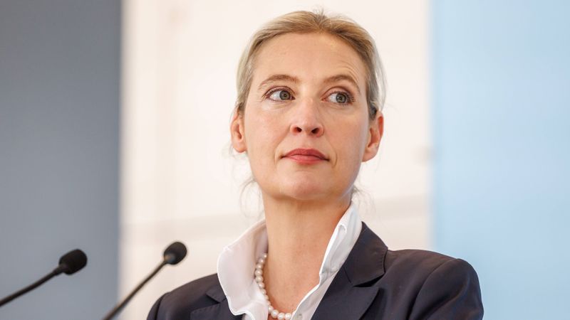 AfD fragt Vornamen von Bürgergeldempfängern ab: Michael und Andreas vorn