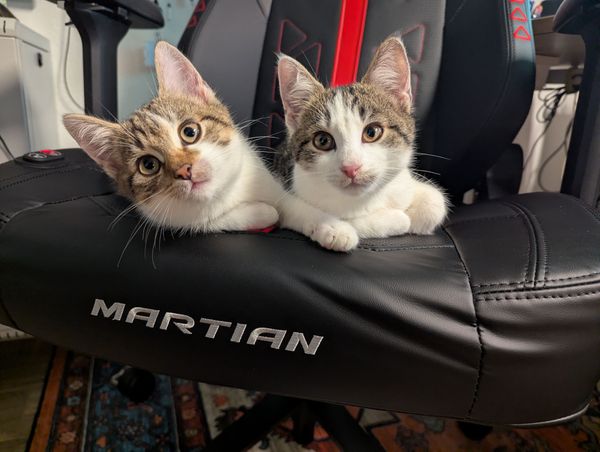 Martian-Pro-im-Test-Der-800-Euro-Gaming-Stuhl-f-r-verspannte-Hinterteile