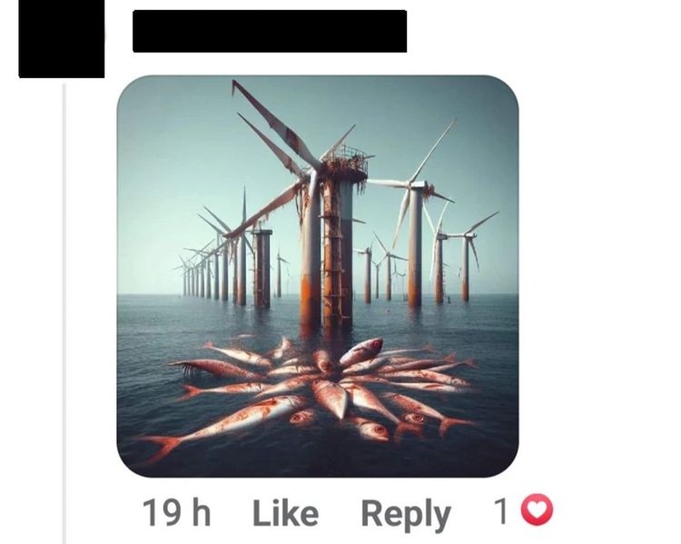 Facebook-Sujet gegen Offshore-Windkraft. Rostige Windräder im Wasser, davor tote Fische.