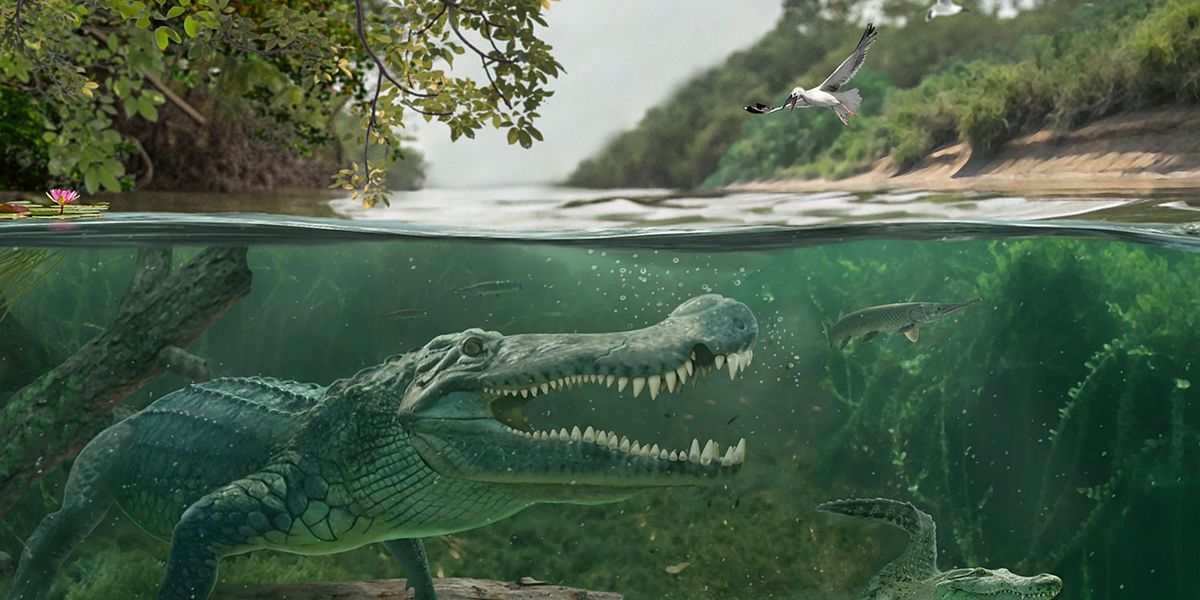 Dinofressendes Riesenkrokodil war ein Meister der Anpassung