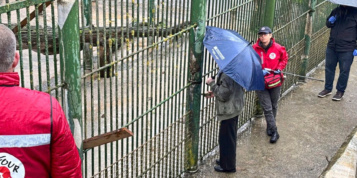 Kraftakt Bärenrettung: Nach 34 Jahren Betonkäfig darf Felix nun im Wald leben