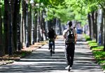 Auffallend viele Kinder, E-Scooter- und E-Bike-Fahrer verunglückt f764d59d 683d 4d78 9265 f123930f8cb1