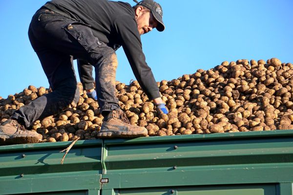 In-Nieder-sterreichs-Gro-k-chen-soll-es-weniger-Bio-Produkte-geben-als-behauptet