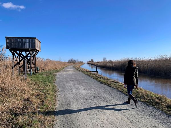 Es-ist-am-besten-Sie-gehen-jetzt-