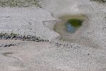 Wetter bleibt hochsommerlich: Kein Ende der Hitze in Sicht 2227c823 9c4f 43eb 9adf e93e89cf975f