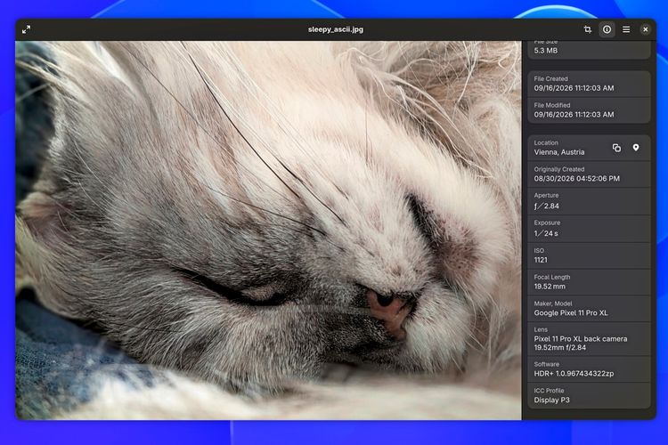 Nahaufnahme einer schlafenden, langhaarigen Katze mit hellem, grau meliertem Fell im GNOME-Bildbetrachter mit dunklem Rahmen. Rechts ist ein halbtransparentes Eigenschaften-Panel eingeblendet, das EXIF-Metadaten zur Bilddatei namens 