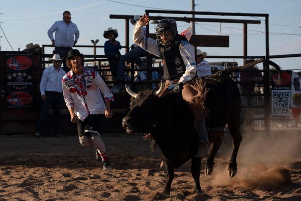 auf-ein-wahlkampf-rodeo-in-den-swing-state-arizona