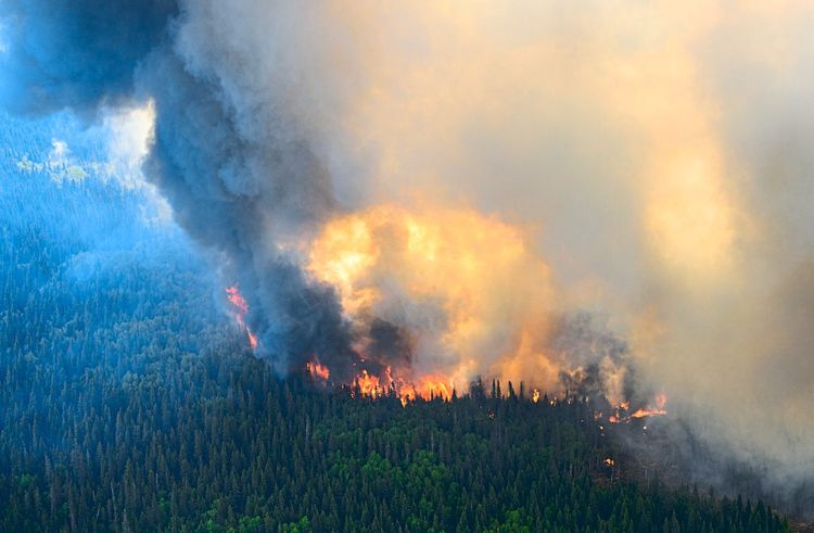 Waldbrände Kanada Quebec