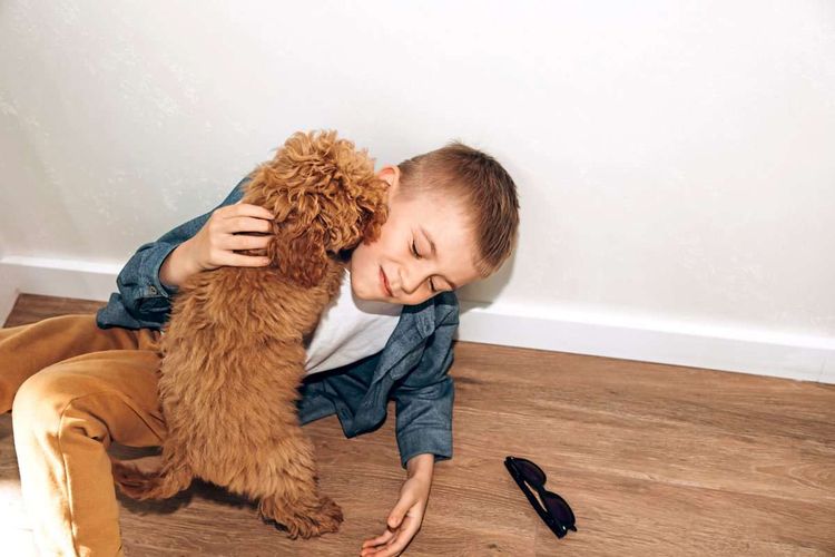 Kleiner Junge spielt mit einem kleinen, braunen, flauschigen Hund am Boden.