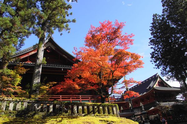 Die-sch-nsten-Urlaubsfotos-unserer-Userinnen-und-User-der-Woche