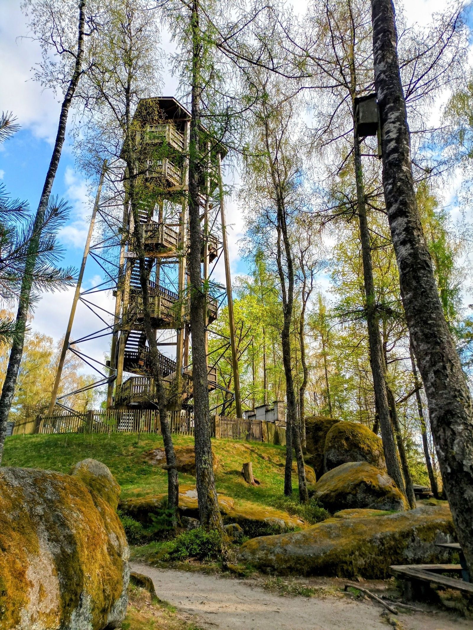 Ein Aussichtssturm aus Holz in einem Wald, Felsen auf dem Boden