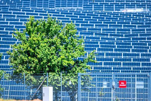 Kann der Green Plan der EU nach hinten losgehen?