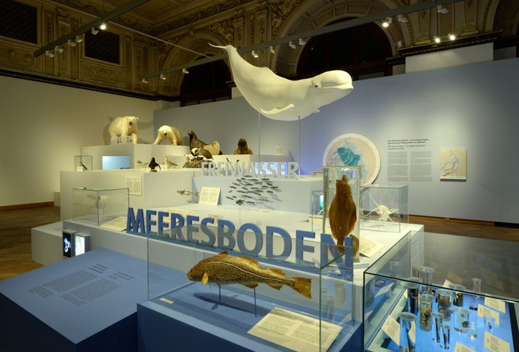 Ein Beluga-Modell dominiert den Ausstellungssaal