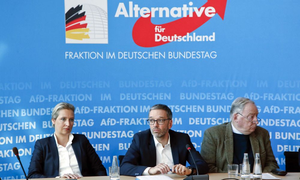 Welche Verbindungen es zwischen der deutschen AfD und Österreich gibt ...