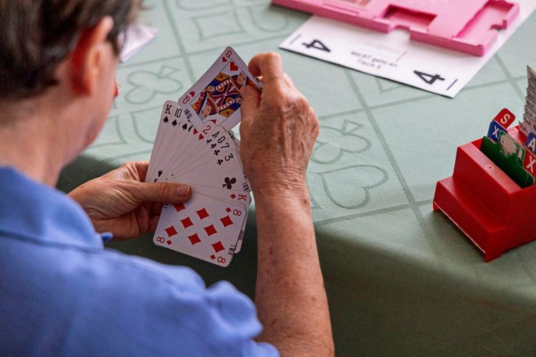 Eine Person sitzt an einem Tisch mit hellgrüner Tischdecke und hält ein Blatt Bridgekarten in der Hand. Auf dem Tisch liegt ein rotes Bietkästchen für das Kartenspiel Bridge.