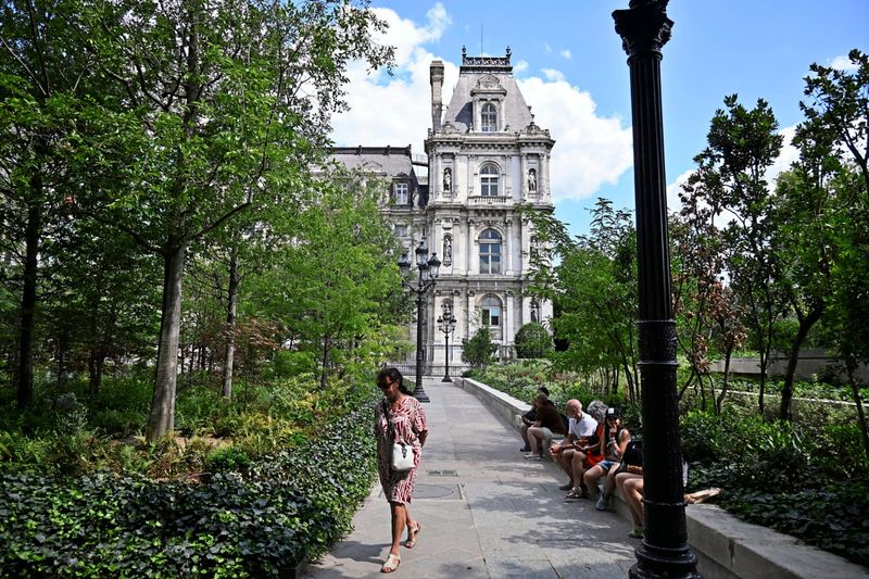 Ein Wald vor dem Rathaus