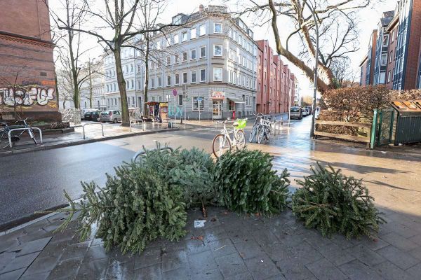 g-rtner-verurteilt-weil-er-unerlaubt-einen-weihnachtsbaum-im-kindergarten-aufstellte