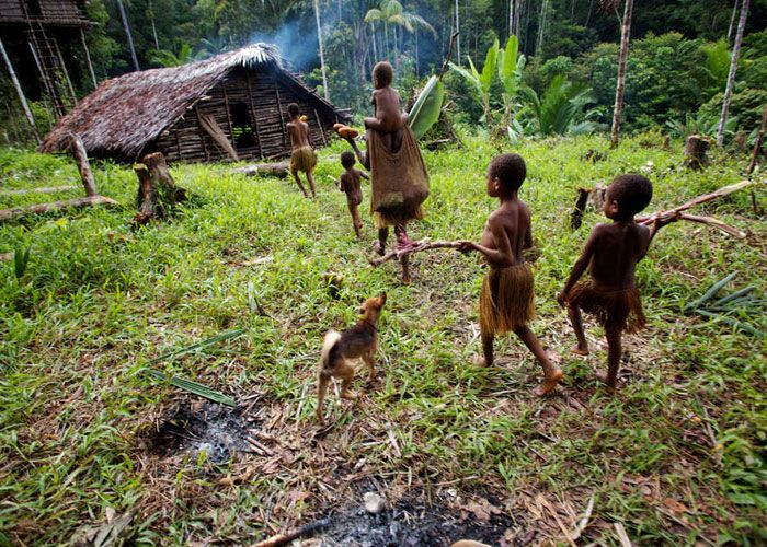 Mit dem Wissen indigener Völker die Welt retten Ökologie derStandard.at › Panorama