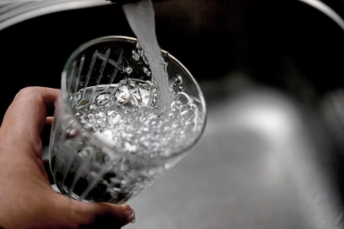 Wie Lange überlebt Ein Huhn Ohne Kopf www.derstandard.at