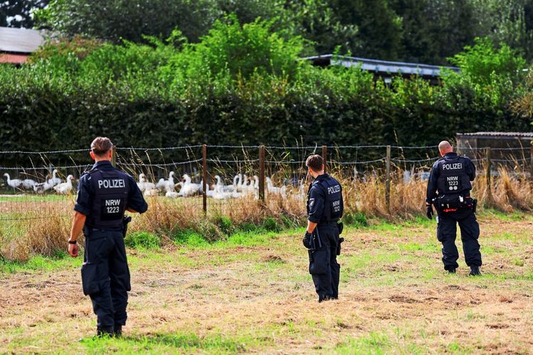 Drei Polizisten in Uniform sichern ein ländliches Gebiet nahe eines Zauns. Im Hintergrund sind weiße Gänse und dichte Vegetation zu sehen.