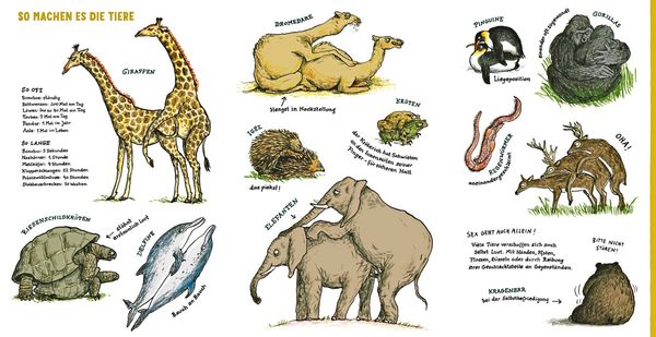 Kinderbuch-ber-Sex-im-Tierreich-regt-in-den-USA-auf