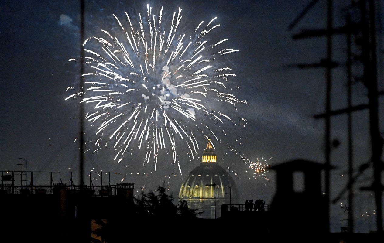 Massensterben von Vögeln in der Silvesternacht in Rom - Tiere