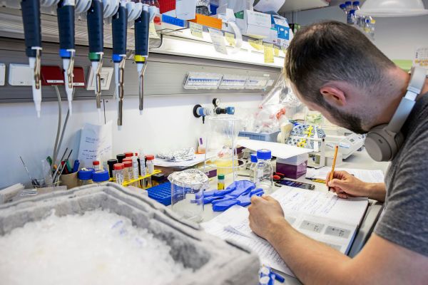 Expertin-ber-Geschlechtergerechtigkeit-an-Unis-M-nnern-wird-mehr-Flexibilit-t-zugeschrieben-