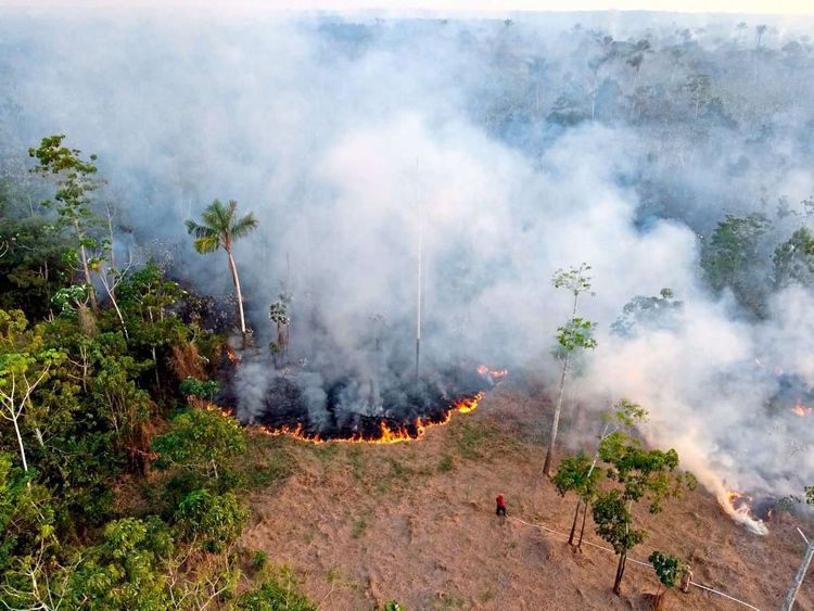 Luftaufnahme, Boden des Amazonas-Regenwalds in Brasilien brennt und qualmt über die Baumwipfel hinweg, Menschen versuchen, den Brand zu löschen
