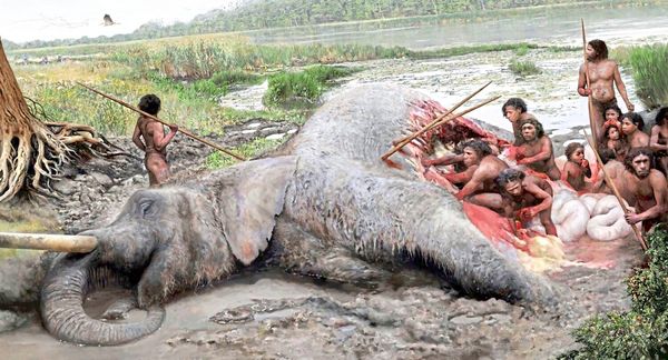 Neandertaler-im-heutigen-Niedersachsen-labten-sich-an-Elefant-B-r-und-Biber