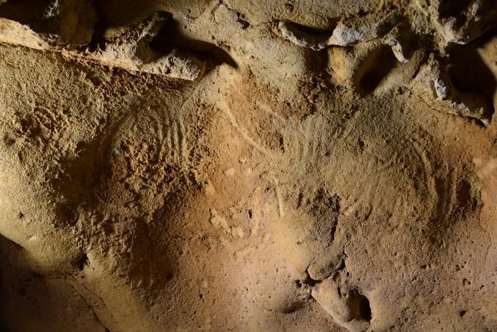 Gravuren der Neandertaler im Detail, man erkennt Linien und punktförmige Spuren.