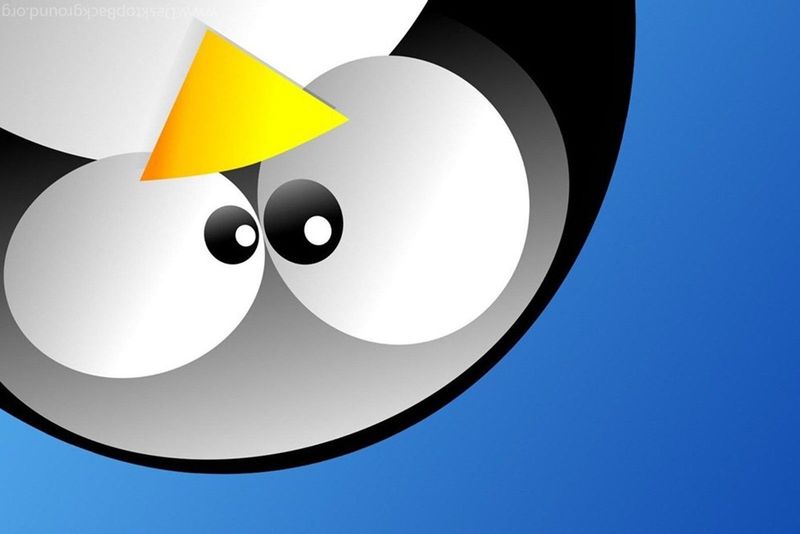 Kritische Lücke gefährdet fast alle Linux-Systeme, Angriffe laufen bereits