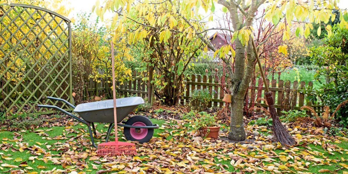 Garten - cover