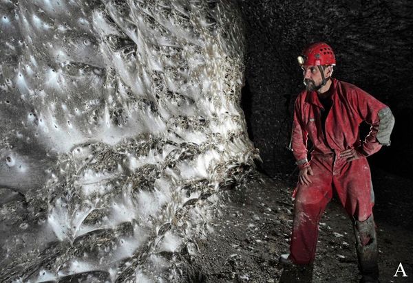 Gr-tes-Spinnennetz-der-Welt-in-lichtloser-Schwefelh-hle-entdeckt