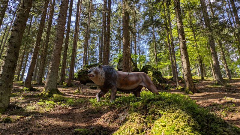 Die schönsten Urlaubsfotos unserer Userinnen und User der Woche