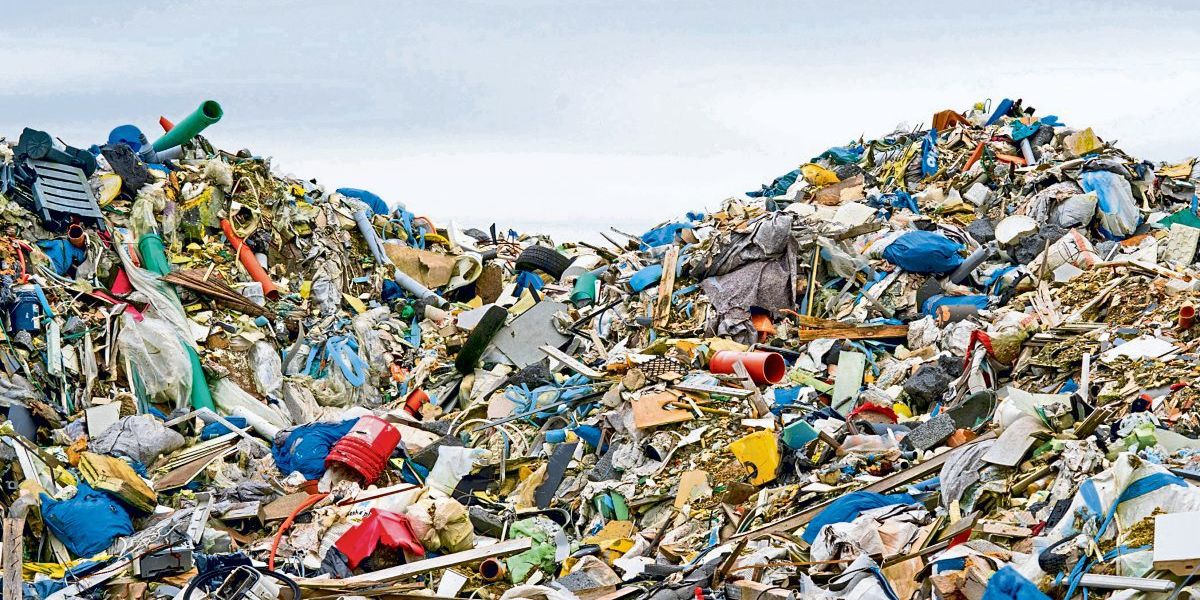 Mülltrennung im öffentlichen Raum: ARA-Studie testete zusätzliche Behälter  in drei Städten - Österreich 