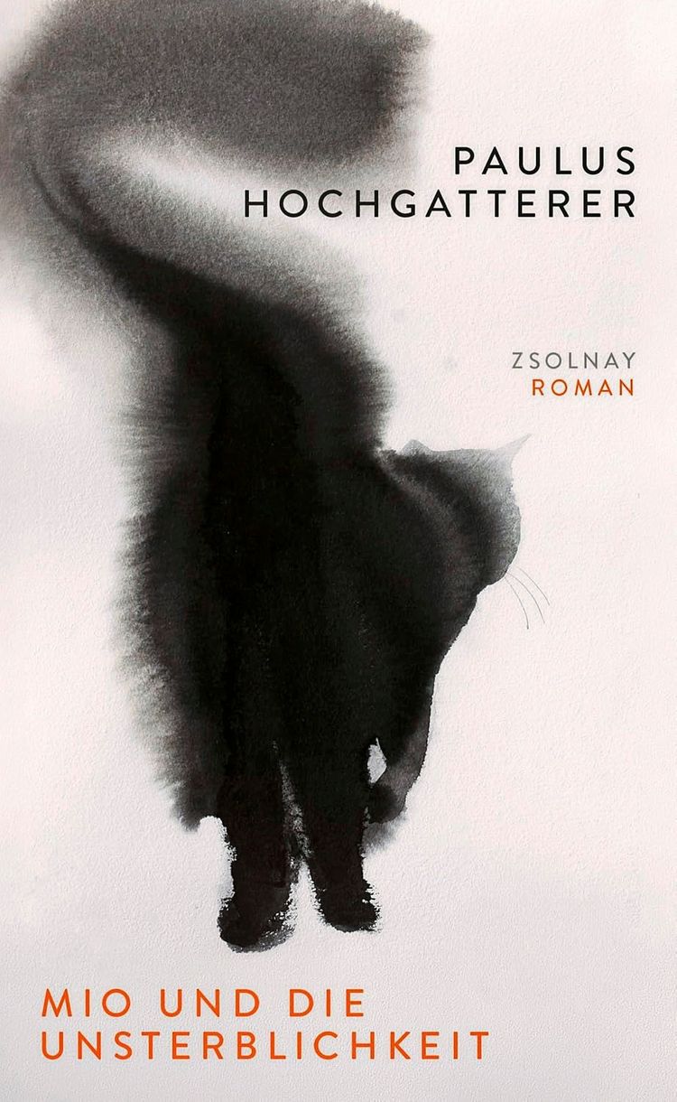 Buchcover von 
