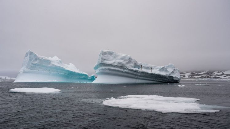 Eisberge treiben im Meer