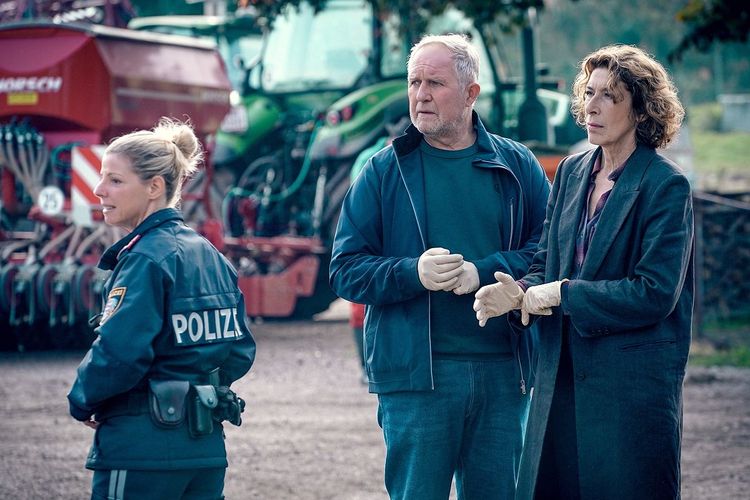 Sauerei Im Schweinestall: "Tatort: Bauernsterben" Sonntag In ORF 2 ...